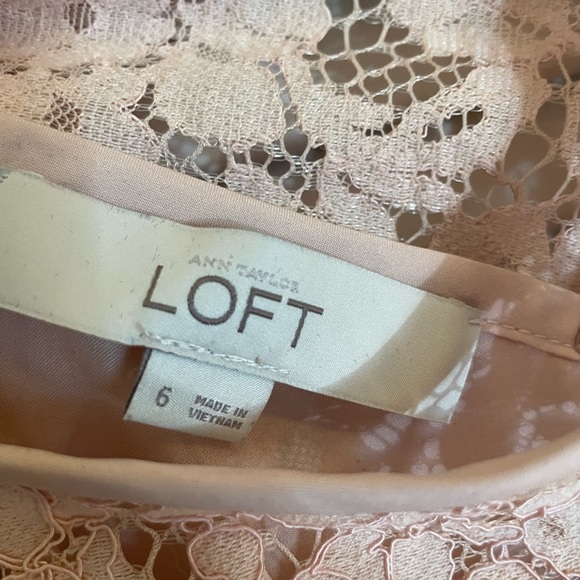 LOFT | Ann Taylor Light Pink Flutter Lace Dress - Picture 3 of 4
